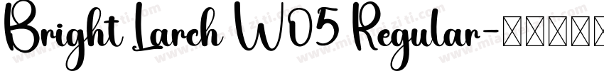 Bright Larch W05 Regular字体转换